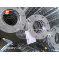 JIS B2220 SUS316L FLANGE BV MODUS II